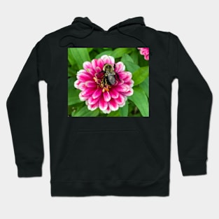 Bee happy! Hoodie